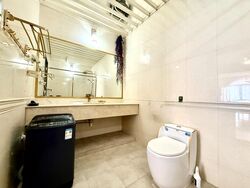 Macpherson Garden Estate (D13), Terrace #523550561